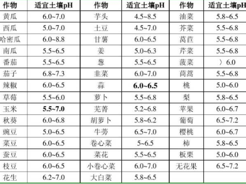 理想的健康的土壤該是什么樣子？