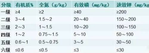 理想的健康的土壤該是什么樣子？