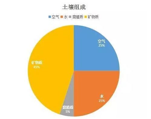 理想的健康的土壤該是什么樣子？