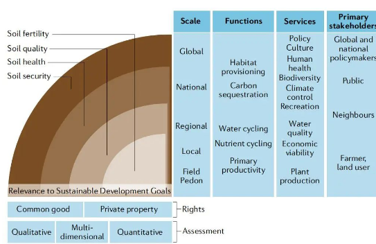 土壤健康的概念和未來(lái)展望！