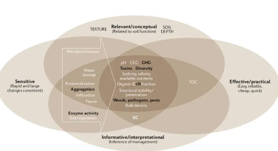 土壤健康的概念和未來(lái)展望！