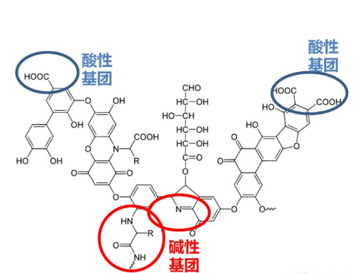 腐植酸與土壤的一段對話火了！