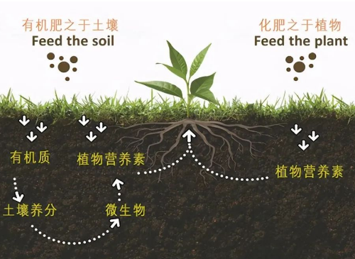 改良土壤，你不做，我也不做，那誰來做？