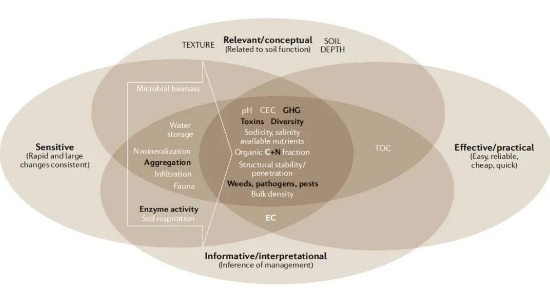 土壤健康來源于土壤質量！
