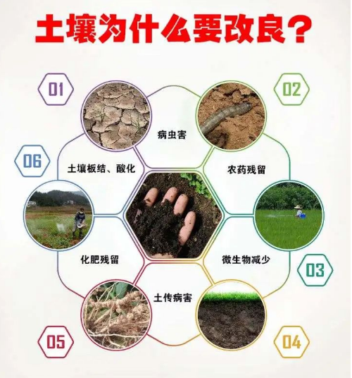 讓土壤恢復(fù)生命力，這就是我們要走的路！