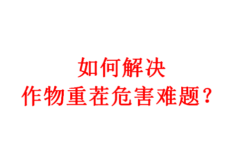 能重茬和不能重茬的作物有哪些？作物重茬爛根死棵現(xiàn)象怎么防治?