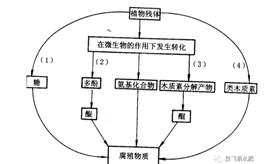 有機(jī)肥等不等于土壤有機(jī)質(zhì)呢？