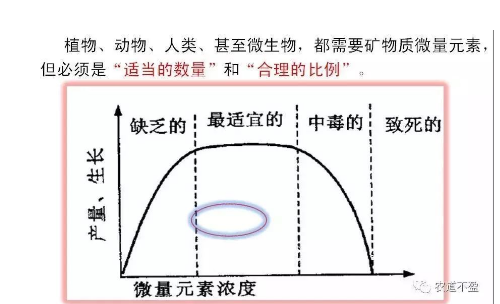 土壤—植物營養(yǎng)—人體健康的關(guān)系