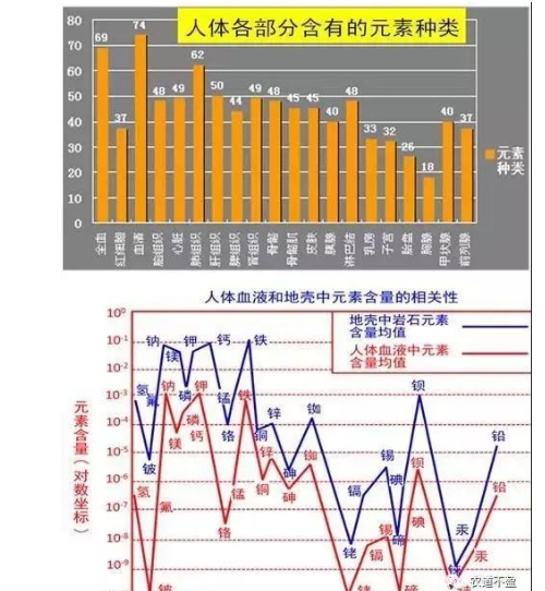 土壤—植物營養(yǎng)—人體健康的關(guān)系