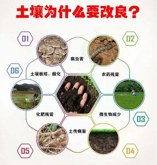 讓土壤恢復(fù)生命力，這就是我們要走的路！