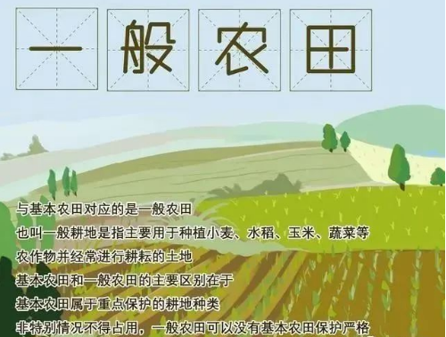 耕地、基本農(nóng)田、永久基本農(nóng)田、高標(biāo)準(zhǔn)基本農(nóng)田，這些名詞你清楚嗎？