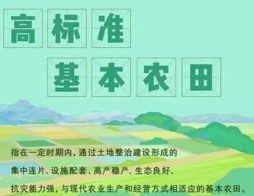 耕地、基本農(nóng)田、永久基本農(nóng)田、高標(biāo)準(zhǔn)基本農(nóng)田，這些名詞你清楚嗎？