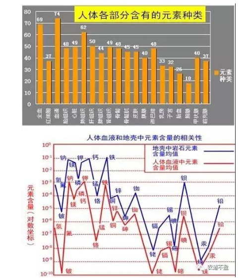 土壤—植物營養(yǎng)—人體健康的關(guān)系