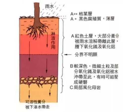 基本的土壤知識，是我最想分享給你的！