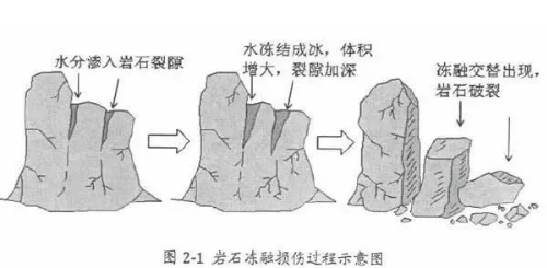 基本的土壤知識，是我最想分享給你的！