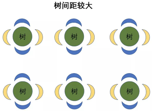 基本的土壤知識，是我最想分享給你的！