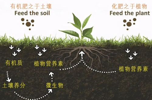 改良土壤，你不做，我也不做，那誰來做？”