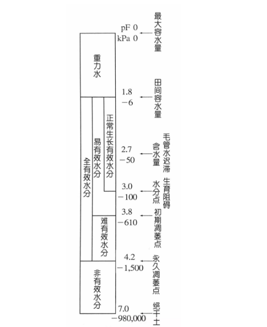 土壤的保水力