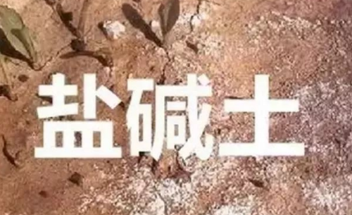 沙土、黏土、鹽堿土，澆水施肥有講究