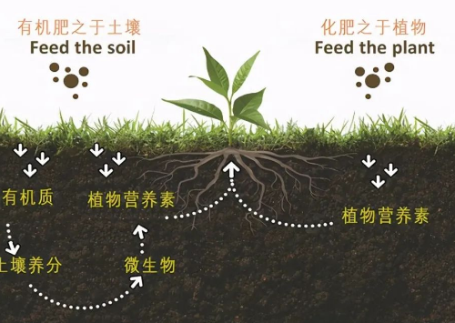 改良土壤，你不做，我也不做，那誰來做？