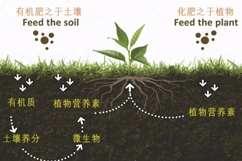 改良土壤，你不做，我也不做，那誰來做？