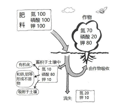 事關(guān)耕地！自然資源部通報56個違法違規(guī)重大典型問題→