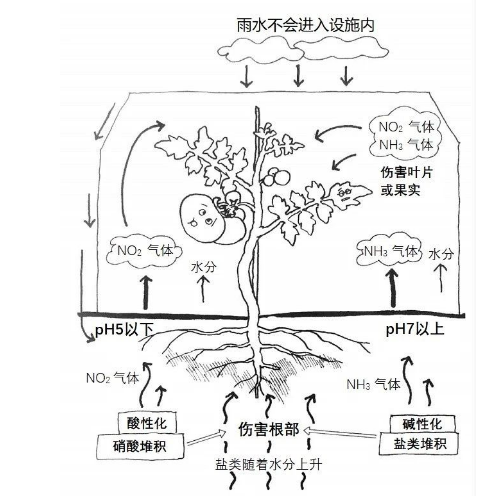 事關(guān)耕地！自然資源部通報56個違法違規(guī)重大典型問題→