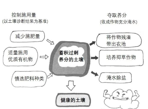 事關(guān)耕地！自然資源部通報56個違法違規(guī)重大典型問題→