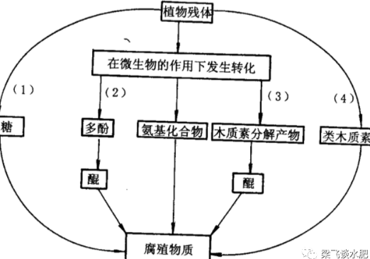 有機肥不等于土壤有機質(zhì)，不是施有機肥就是增加土壤有機質(zhì)