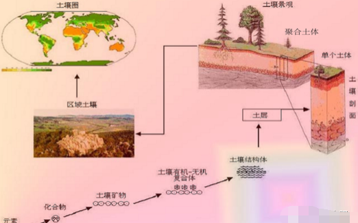 有機肥不等于土壤有機質(zhì)，不是施有機肥就是增加土壤有機質(zhì)