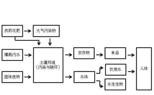 工農(nóng)業(yè)污染土壤修復(fù)技術(shù)大全