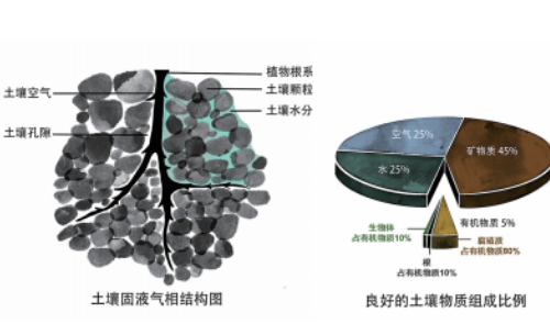 土，地之吐生物者也