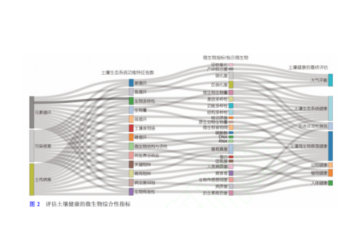 土壤微生物組與土壤健康