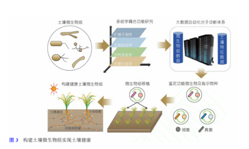 土壤微生物組與土壤健康