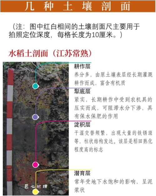 土壤的相關(guān)知識(shí)！