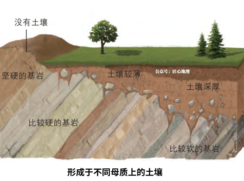 土壤的相關(guān)知識(shí)！