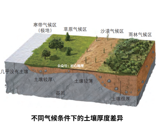 土壤的相關(guān)知識(shí)！