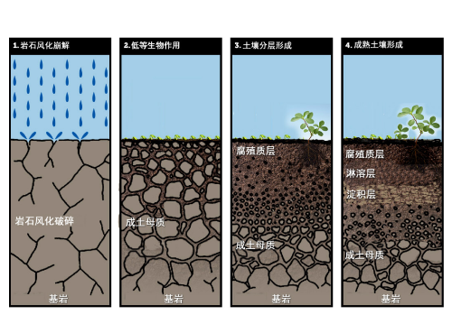 土壤的相關(guān)知識(shí)！