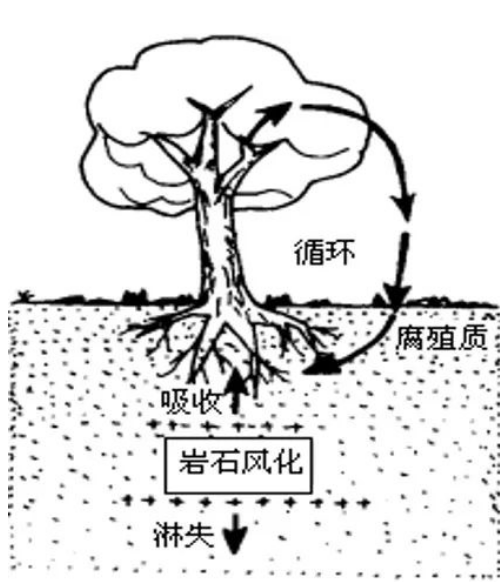 土壤的相關(guān)知識(shí)！