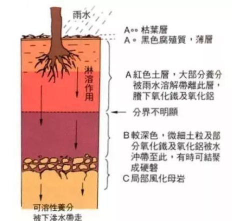 最全的土壤知識，一定要看！