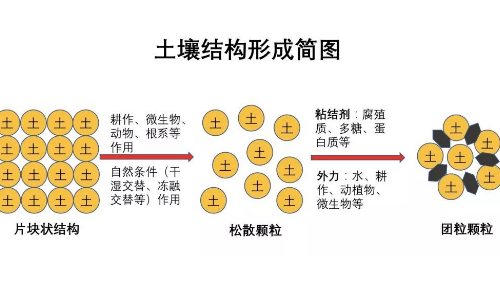 最全的土壤知識，一定要看！