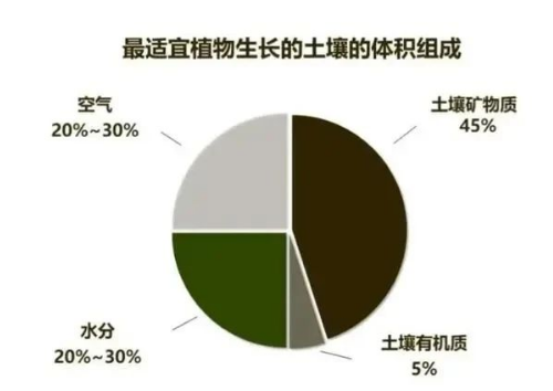 “土壤肥力”到底是什么？提高肥力提高的什么？一句話弄懂了