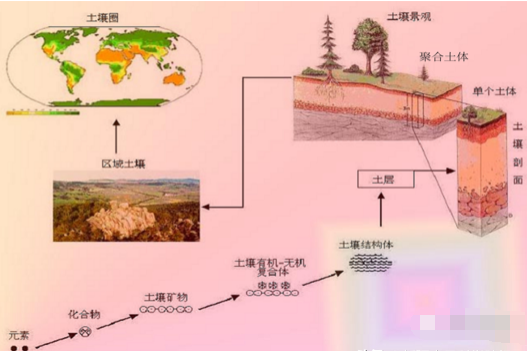 有機(jī)肥不等于土壤有機(jī)質(zhì)！