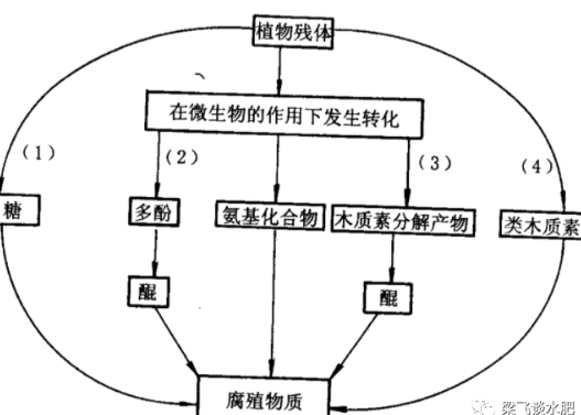 有機(jī)肥不等于土壤有機(jī)質(zhì)！