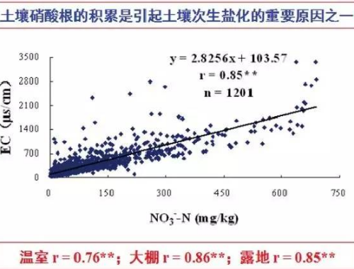 土壤的問題在哪里？