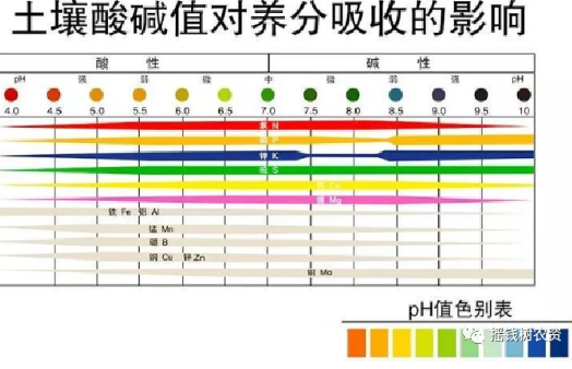 作物土傳病害主要有哪些？發(fā)生原因和防治方法如何？