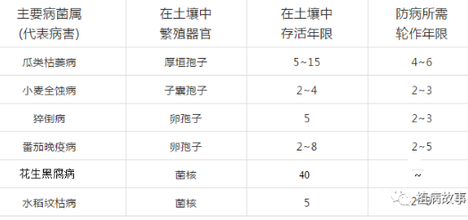 作物土傳病害主要有哪些？發(fā)生原因和防治方法如何？