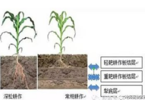 土壤存在的問(wèn)題，你都知道多少？