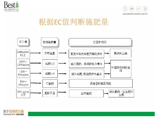 什么是土壤鹽堿化？如何解決？