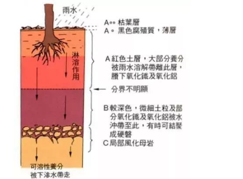 【農(nóng)業(yè)基礎(chǔ)知識(shí)】基本土壤知識(shí)